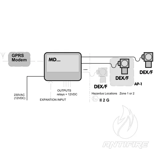 DEX-7E/N Детектор водню (H2)  (фото 2)