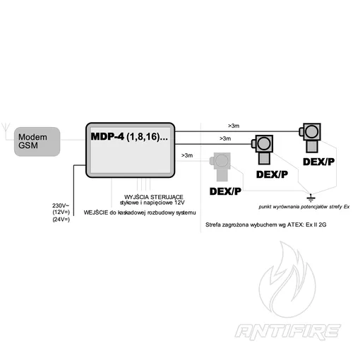 DEX-P9E5/N Детектор  концентрації кисню (O₂)  (фото 2)
