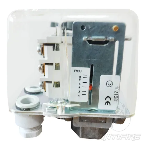 Сигналізатор тиску Minimax PMS-3 