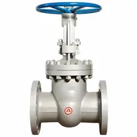 Засувки 30с41нж — Засувки