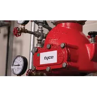 Вузол керування DPV-1 TYCO для сухотрубних спринклерних систем thumb-3