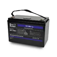 Акумулятор LiFePO4 літій залізо фосфатний 12В 100Ah Full Energy FEG-12100-2 C — Блоки живлення та АКБ