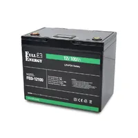 Акумулятор LiFePO4 літій залізо фосфатний 12В 100Ah Full Energy FEG-12100 — Блоки живлення та АКБ