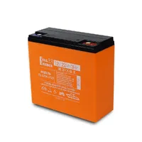 Акумулятор тяговий гелевий 12В 22Ah для електротранспорту Full Energy FE-DZM-1222 — Блоки живлення та АКБ