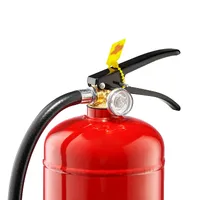 Огнетушитель порошковый ОП-5 (ВП-5) thumb-2