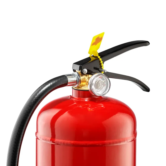 Огнетушитель порошковый ОП-5 (ВП-5)  (фото 2)