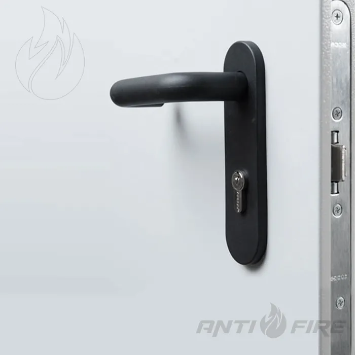 Двері протипожежні двостулкові металеві зі склінням  EI60  (фото 4)