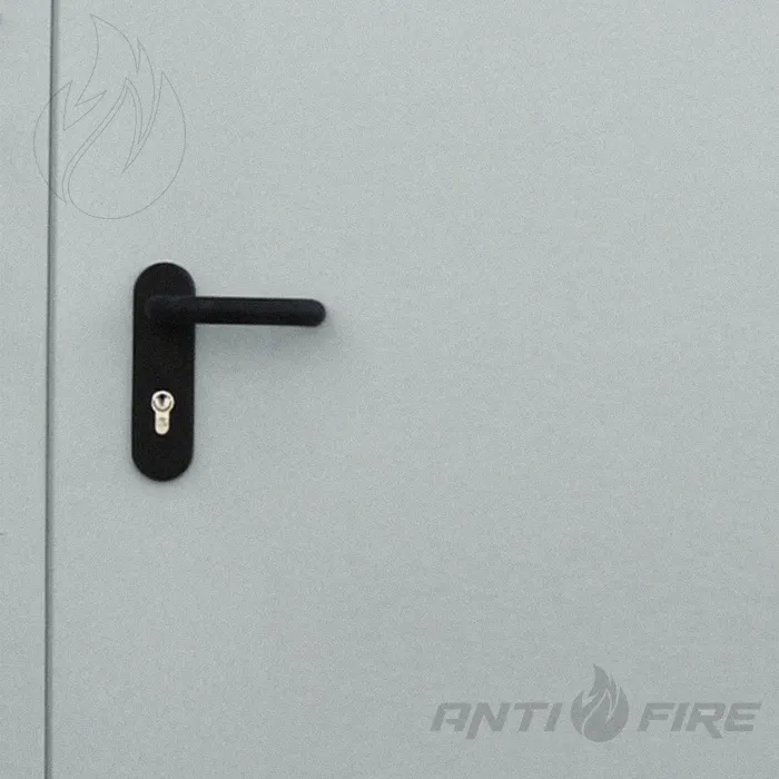 Двері протипожежні двостулкові металеві зі склінням  EI30  (фото 2)