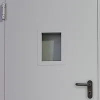 Двері протипожежні одностулкові металеві зі склінням EI90 thumb-7