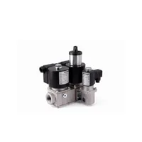 Комбинированный газовый клапан VMM Elektrogas - Заказать