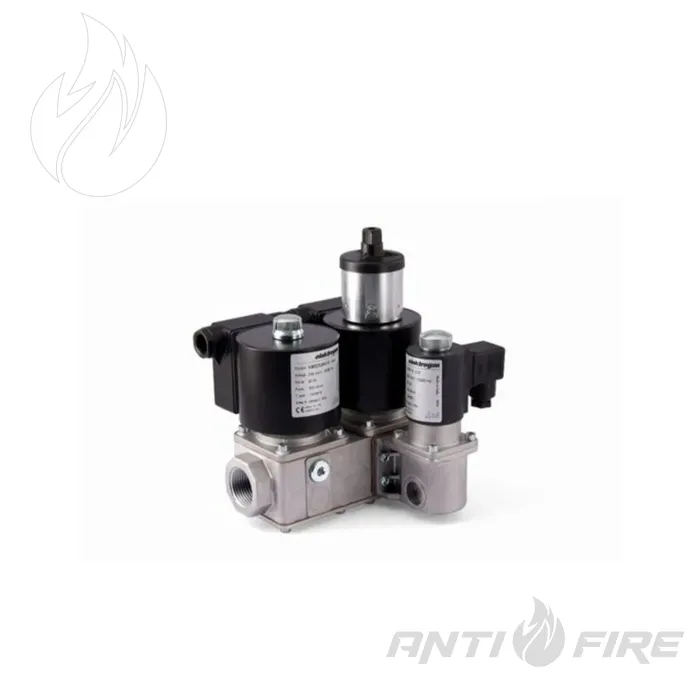 Комбинированный газовый клапан VMM Elektrogas 