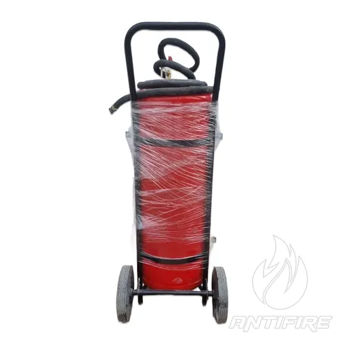 Огнетушитель порошковый Рубеж ОП-100  (фото 2)