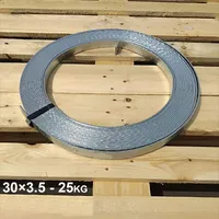504351 Смуга оцинкована 30х3,5 мм (StZn) thumb-2