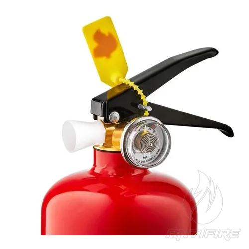 Вогнегасник порошковий Fire Pro ВП-1  (фото 2)