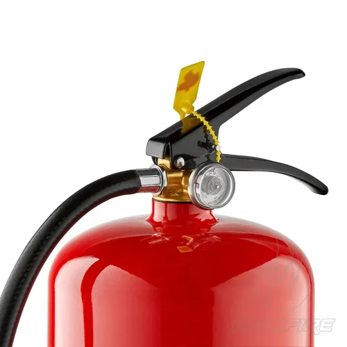 Вогнегасник порошковий Fire Pro ВП-9  (фото 2)