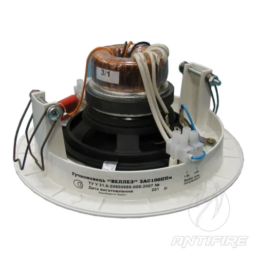 Гучномовець 3АС100ППм  (фото 2)