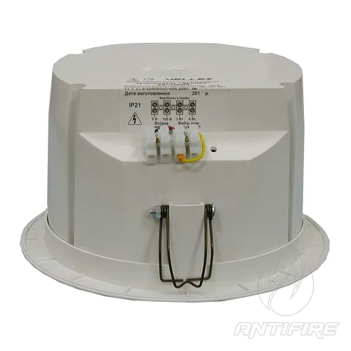 Гучномовець 6АС100ПП  (фото 3)