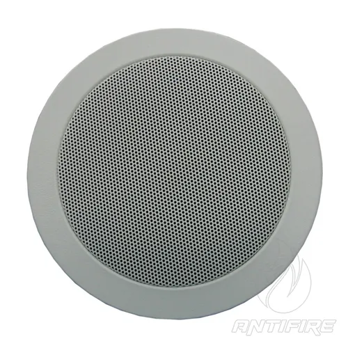 Гучномовець 6АС100ППм 