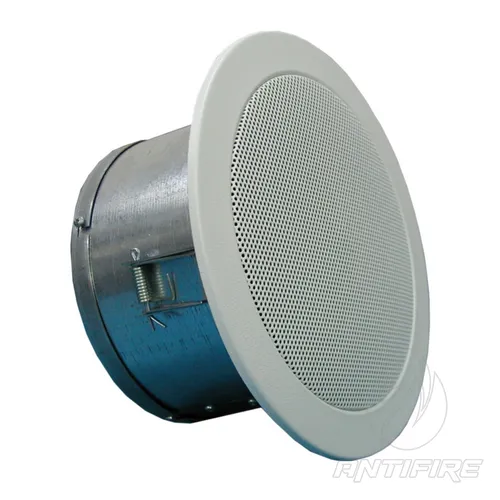 Гучномовець 6АС100ППм  (фото 3)