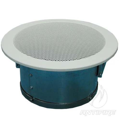 Гучномовець 6АС100ППм  (фото 2)