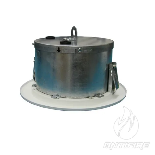 Гучномовець 6АС100ППм  (фото 5)