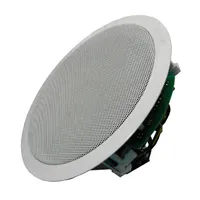 Гучномовець 20АС100ПП thumb-2