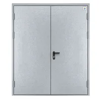 Двері протипожежні металеві глухі ДМП ЕІ30-2-2100х1500 thumb