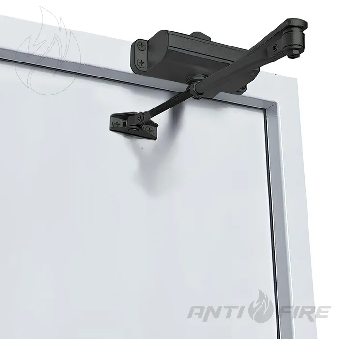 Двері протипожежні металеві глухі ДМП ЕІ60-1-2100х1000  (фото 4)