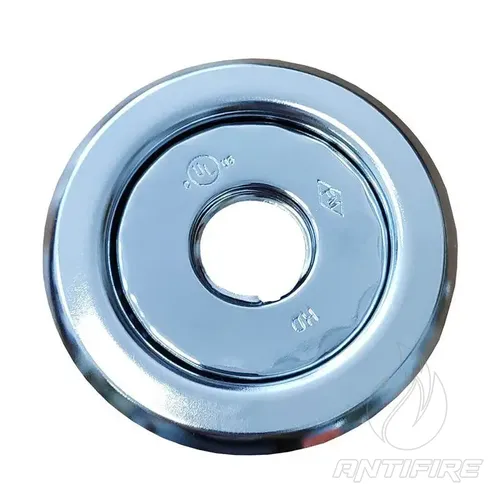 Розетка декоративна (хром) 