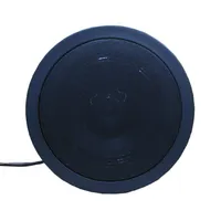 Гучномовець 20АСК100ПП-2 — Гучномовці та Динаміки