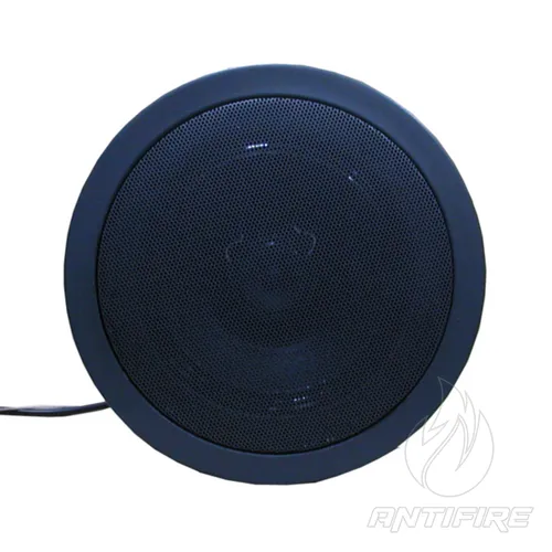 Гучномовці 30АСК100ПП 