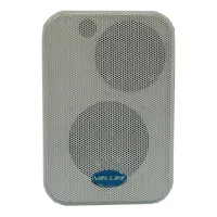 Гучномовець настінний 30АС100ПН — Гучномовці та Динаміки