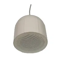 Гучномовець підвісний 6АСК100ПП — Гучномовці та Динаміки