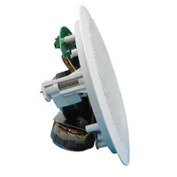 Гучномовець стельовий 15АС100ПП-2 thumb-2