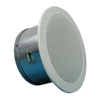 Гучномовець стельовий 6АС100ППм — Гучномовці та Динаміки