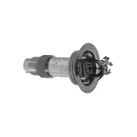 Спринклер сухий DH80 Reliable горизонтальної установки K-115 - Замовити