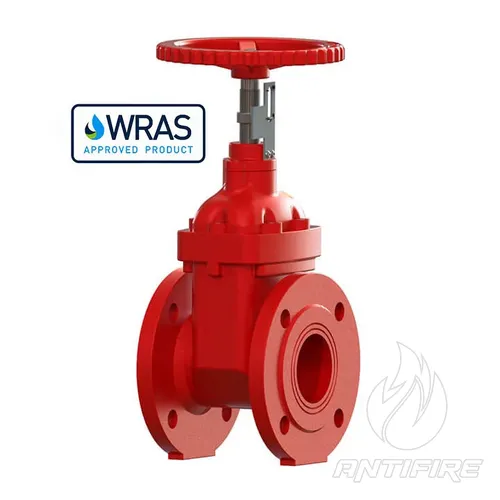 Засувка фланцева клинова Rapidrop RD 112FF з фіксованим штоком 