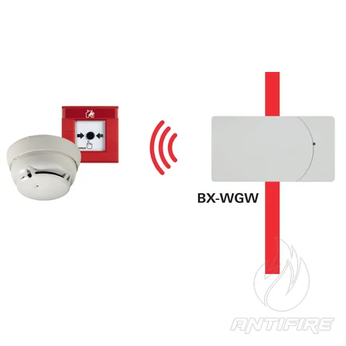 Радіоканальний сповіщувач Schrack-Seconet  (фото 3)