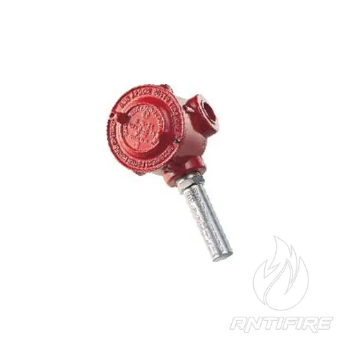 Термічний зонд Detnov TMP2-TO-XX 