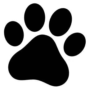 Кредит від Монобанк